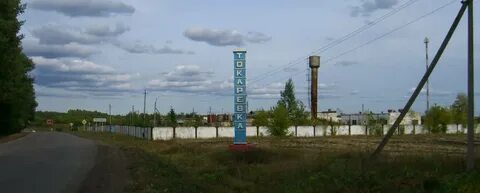 Тамбовская область р п токаревка