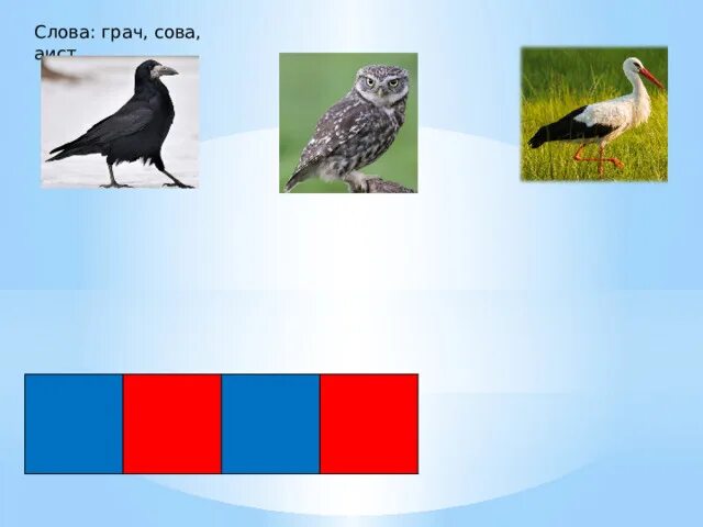 Звуковая схема к слову аист. Схема слова Грач. Составь схемы слов Аист. Грач схема слова цветная. Аист цветовая схема.