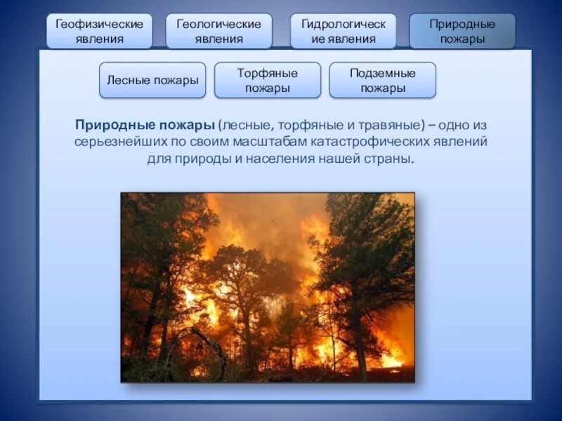 Характеристика природных пожаров. Природные пожары подразделяются на. Природные явления пожар. Природные ЧС природные пожары.