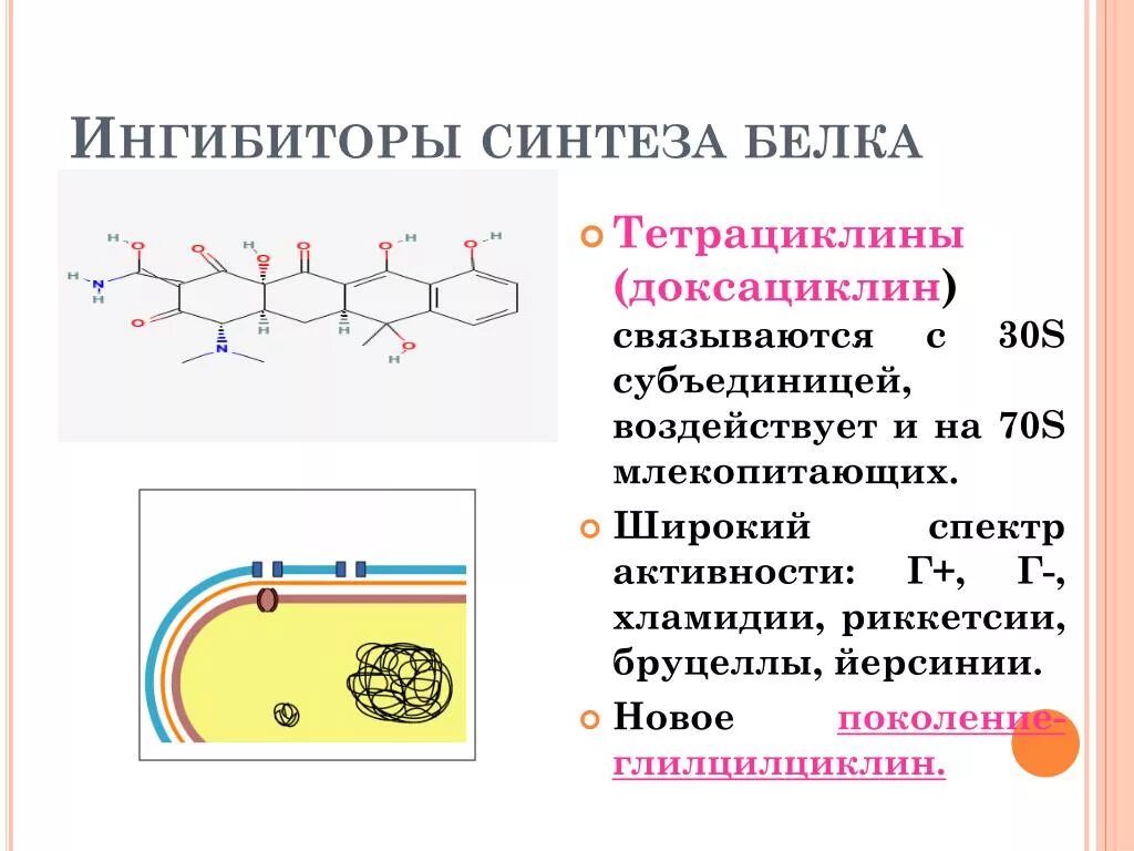 Ингибиторы синтеза белка. Ингибиторы синтеза белка бактерий. Блокаторы синтеза белка. Антибиотики ингибиторы синтеза белка. Ингибиторы белка