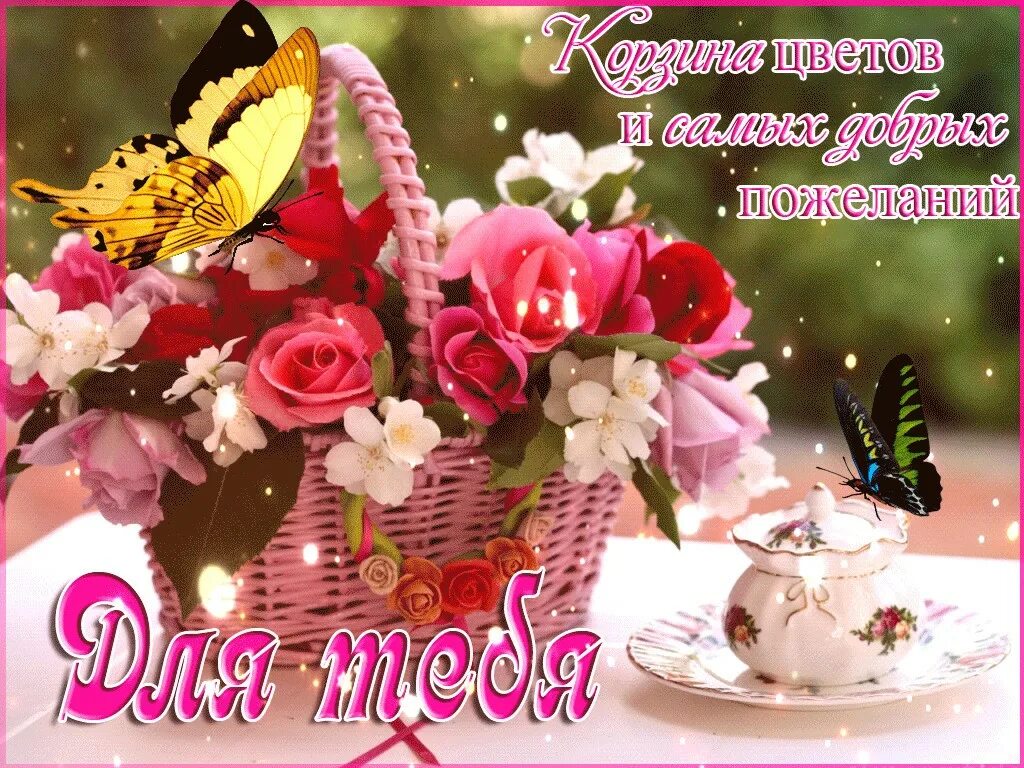 С добры м суббоьним утрои. Красивые нежные цветы. Цветы с добрыми пожеланиями. Открытки с цветами и добрыми пожеланиями. Красивые букеты в корзинках.