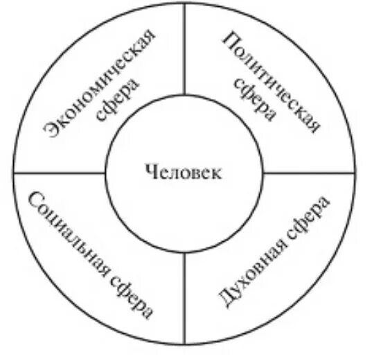 Взаимодействие сфер в жизни человека. Сферы жизни экономическая социальная. Социальная сфера жизни общества схема. Сферы общественной жизни человека. Сферы общественной жизни экономическая социальная духовная.