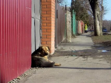 Пропусти ой