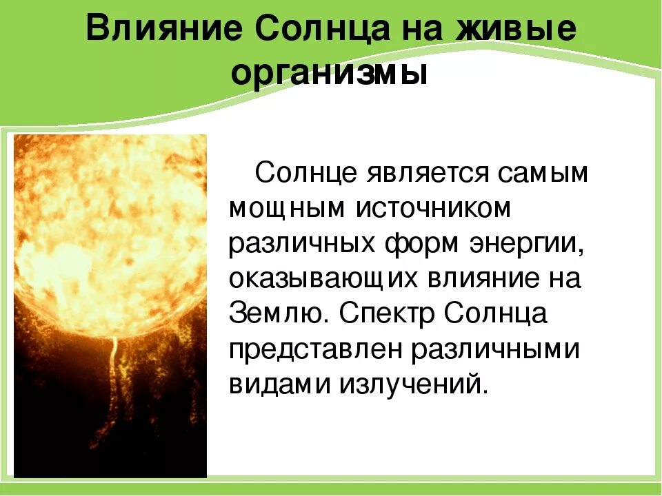 Солнце действие. Влияние солнца на живые организмы. Воздействие солнца на землю. Влияние солнца на организм. Негативное влияние солнца.