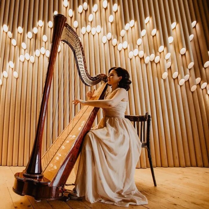 Музыкальные инструменты дома