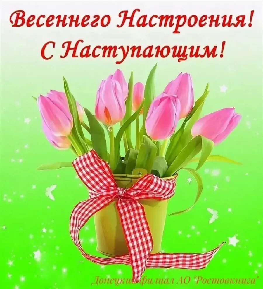 Поздравляем всех представительниц прекрасного пола. Поздравляем всех представительниц прекрасного пола