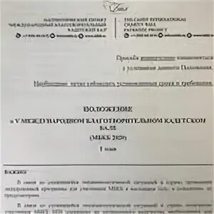Положение 2025. Положение 2025