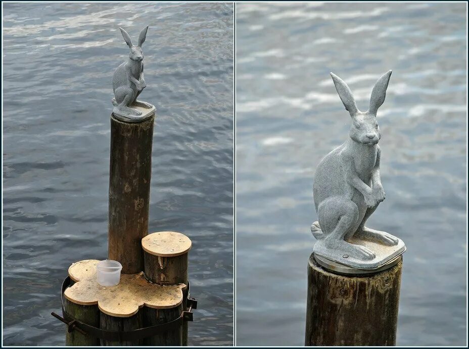 почему называется заячьим островом