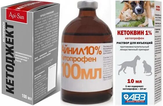 Флексопрофен 5 для собак. Препарат для животных флексопрофен. Флексопрофен таблетки для собак. Лекарство Кетоджект для животных. Хондартрон для собак.