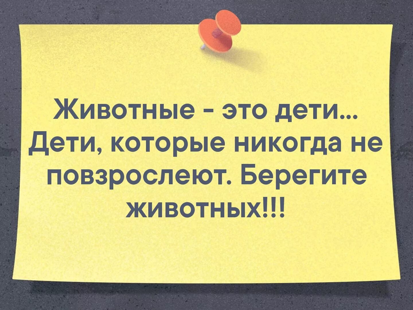 Извинить закрытый. Регистрация ООО. По техническим причинам ма. По техническим причинам не работаем. Регистрация ИП И ООО.