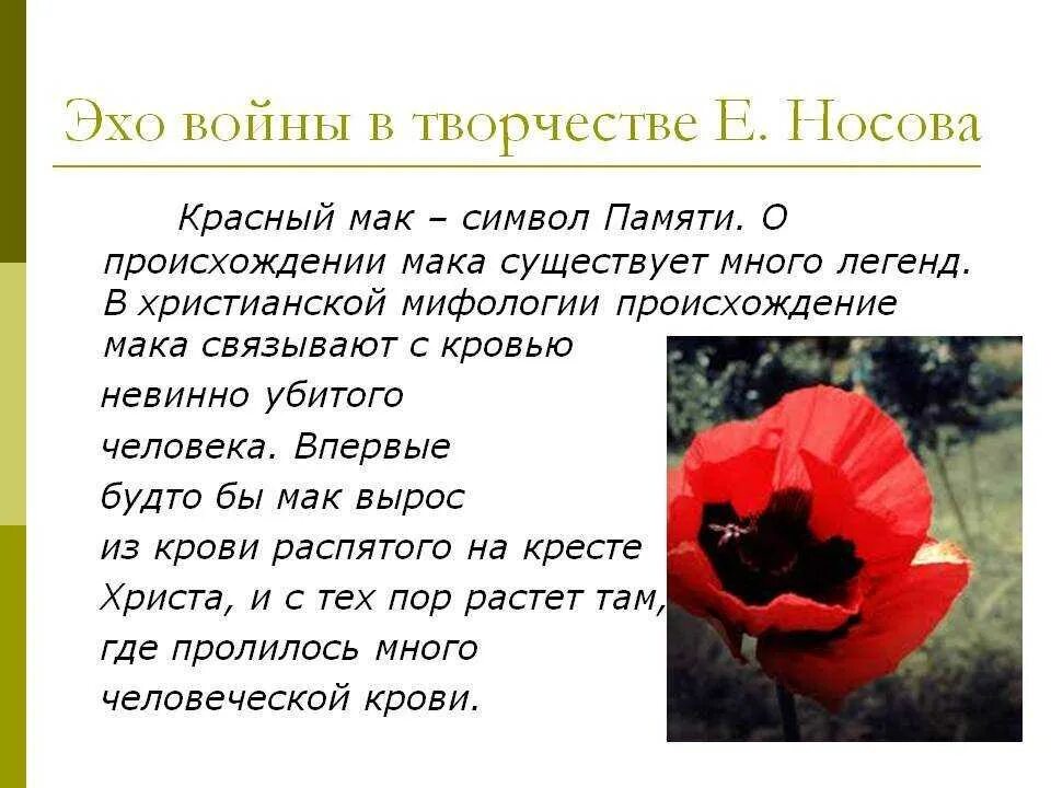 Назовите с помощью глаголов цвет мака. Легенда о маке. сообщение о маке. рассказ про мак. рассказ про цветок мак.