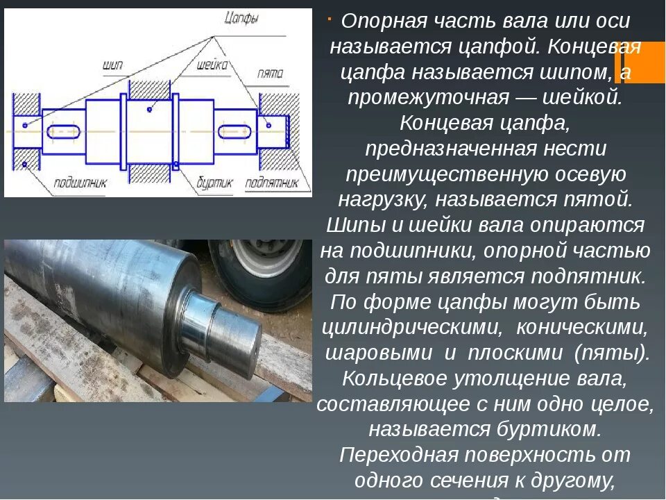 Цапфа карданного вала под подшипник 311. Конструктивные элементы валов и осей. Шейка вала. Валы и оси конструкция. Валы используются