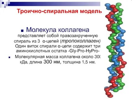 Быть представлена альфа спиралью стабилизироваться