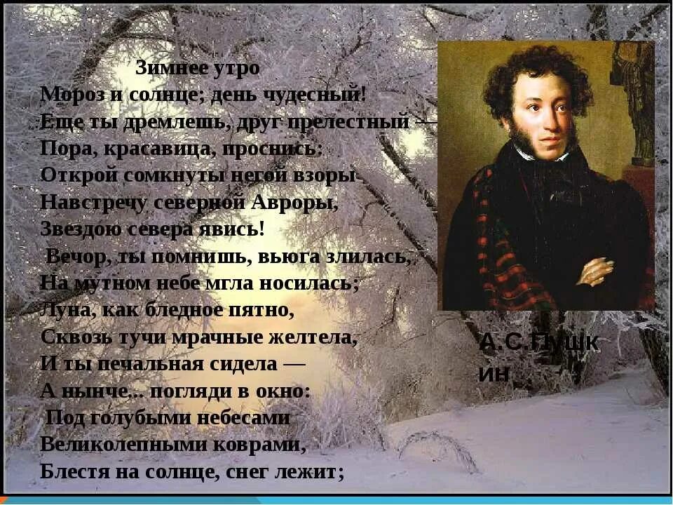 Отзыв зимнее утро. Зимнее утро Пушкин Пушкин Пушкин. Пушкин Мороз и солнце день чудесный. Стих Пушкина Мороз и солнце день чудесный.