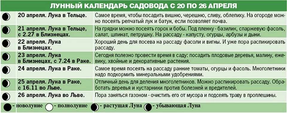 В какие дни нельзя сажать