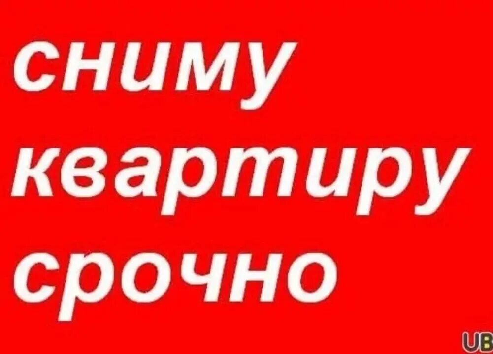 Сток без посредников. Сниму квартиру. Срочно сниму квартиру. Срочно нужна квартира. Сниму квартиру картинка.