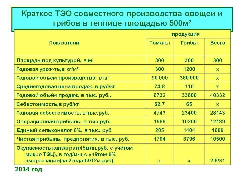 Технико-экономическое обоснование производства. Экономическое обоснование строительства. Технико-экономическое обоснование продукта. Технико экономическое обоснование бизнес плана. Смета на лпх