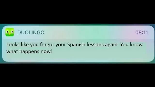 Looks like you forgot your Spanish Lessons again. Duolingo you forgot. Duolingo you know what happens Now. Looks like you Missed your Spanish Lesson today. Looks like you could use