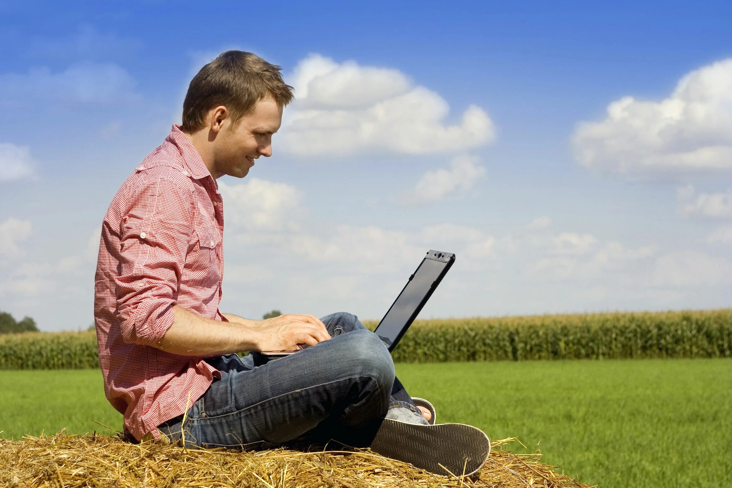 Бизнес лето. Internet rural. Платформенная занятость картинка. Man with Laptop.