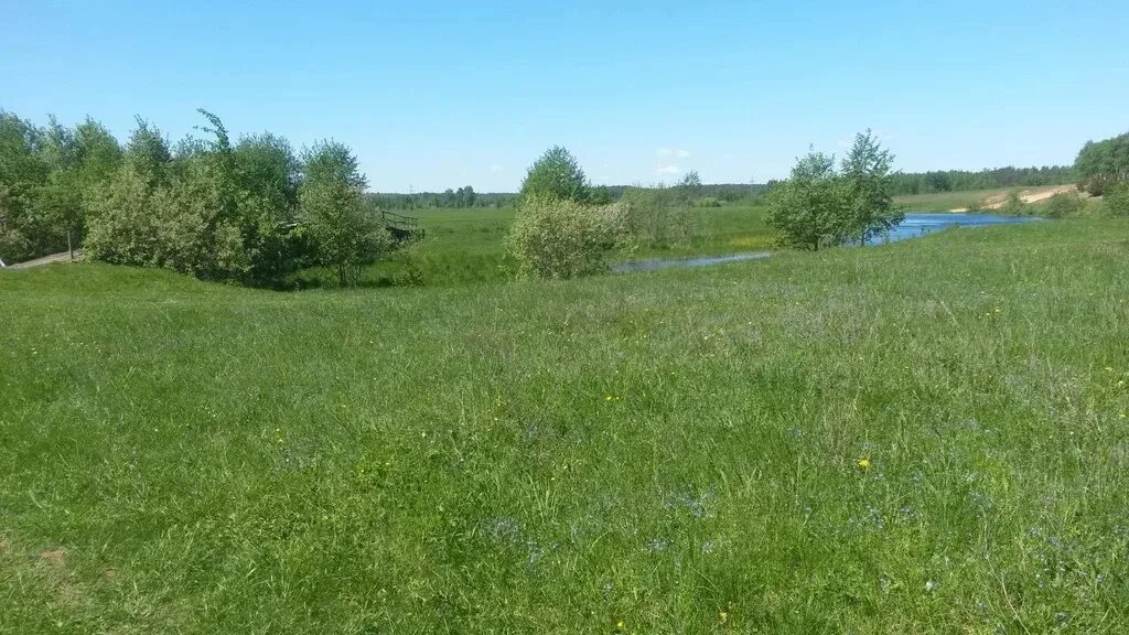 Лесной участок московская область. Участок земли 30 40. Тихая заводь истринский район коттеджный поселок. Участок в 1 гектар земли. 30 соток.