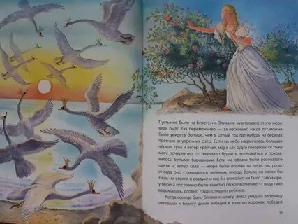 Дикие лебеди читательский дневник 2 класс краткое