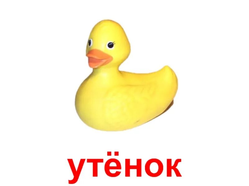 Утка слово. Слово уточка. Утки слова. В слове утка утенок.