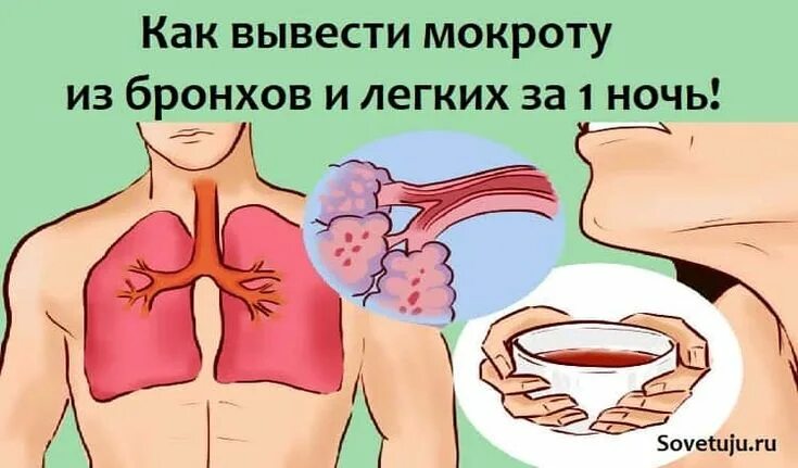 Выведение мокроты из легких