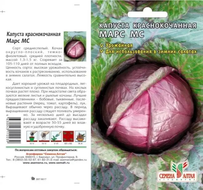 Капуста сахарное сердце описание. Краснокочанная капуста МС. Капуста Марс семена Алтая. Капуста краснокочанная Марс МС. Капуста краснокачанная семена Марс.