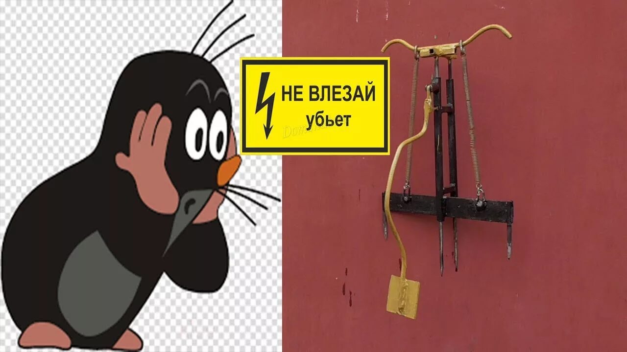 Как правильно установить кротоловку