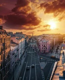 Петербург каждый день