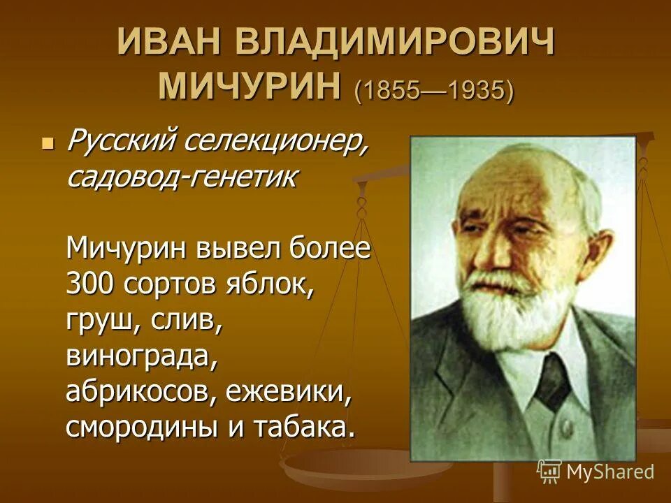 Ученые России 2 класс. Великие русские ученые. Ученые России доклад. Ученые изобретатели России. Открыть 3 сообщение