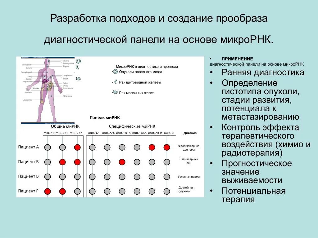 Потенциальной диагностикой. Ранняя диагностика значение. Эли-висцеро-тест-24. Висцеро тест что это. Интерпретация Эли висцеро теста.