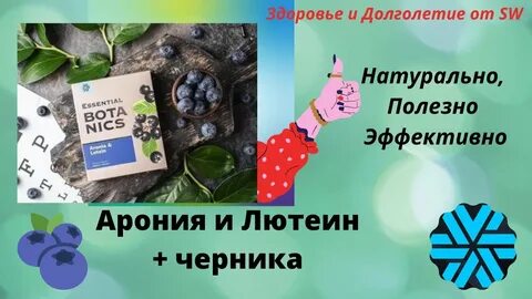 Сибирское здоровье арония