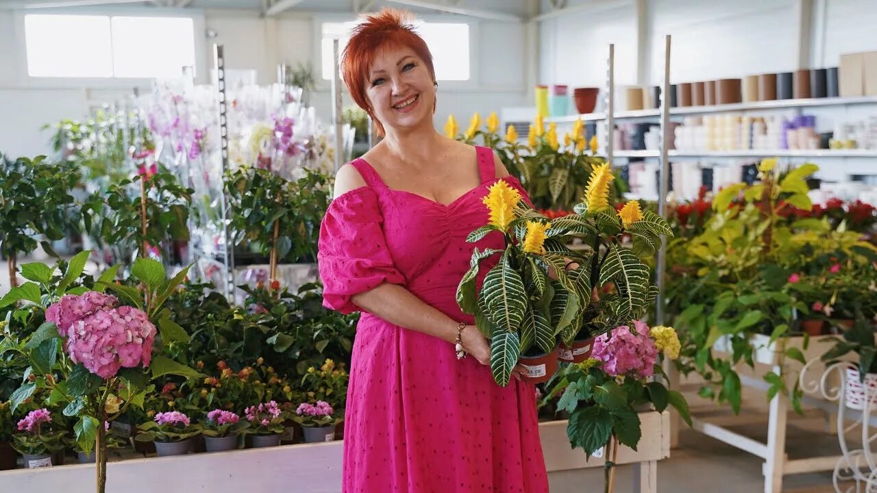 Флориссимо ленинаван. Флориссима ростов ленинаван. Ростов сад садовый центр. Флориссима ростов ленинаван. Флориссима ростов ленинаван.