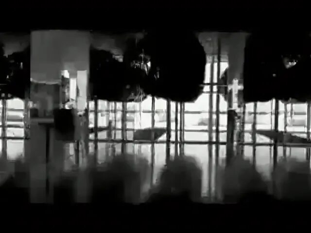 Ассаи южные. Ассаи южные сны. крек южные сны. ассаи другие берега. южные сны фото.