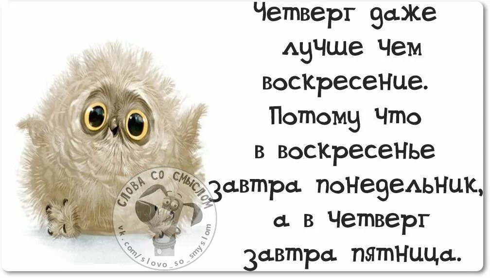 Что будем делать в четверг. Цитаты про четверг. Смешные фразы про четверг. Высказывания про четверг прикольные. Воскресенье цитаты.