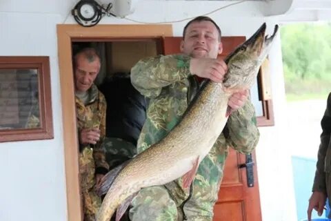 Погода сосьва рп5