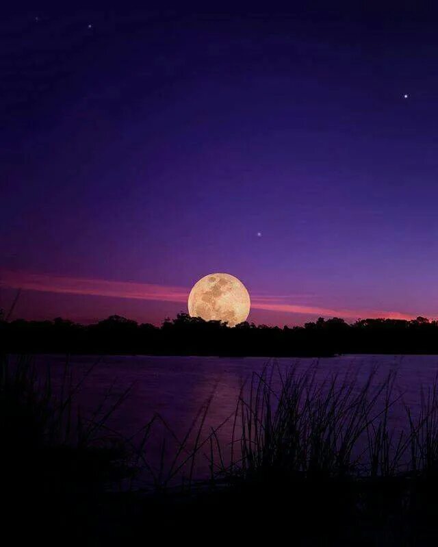 Огромная Луна. Лунная ночь. Большая Луна на горизонте. Полнолуние.