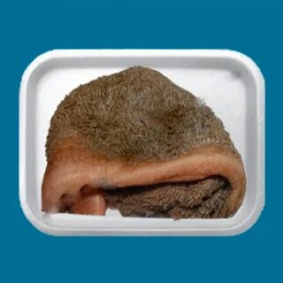 Где рубец