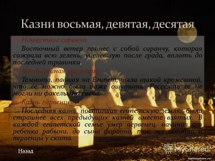 Египетской земле падеж