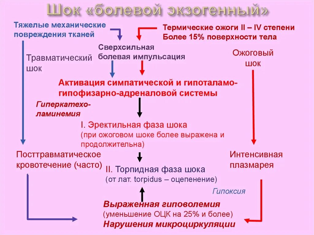 Сколько длится болевой. Болевой ШОК патогенез. Болевой ШОК причины и механизмы развития. Механизм развития болевого шока. Признаки болевого шока у человека.