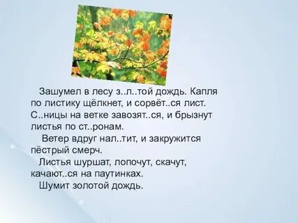Зашумел в лесу золотой дождь 4