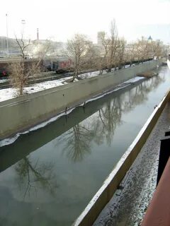 Темерник сегодня