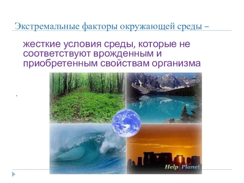 Экстремальные факторы для человека. Эндогенные факторы экстремальных состояний. Экстремальные факторы и человек. Экстремальный фактор пример. Экстремальные факторы среды.