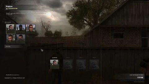 Shadow of coop