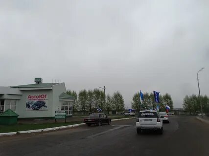 Цзн янаул