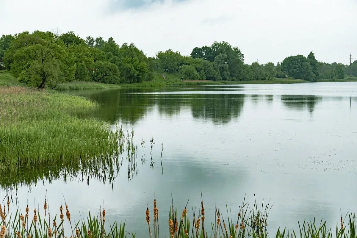 Клинцы реки. Озеро солодовка самарская область. Река унча. Возле речки. Клинцы река.