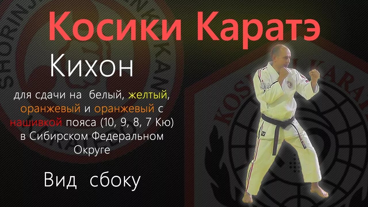 Дополнительная программа карате