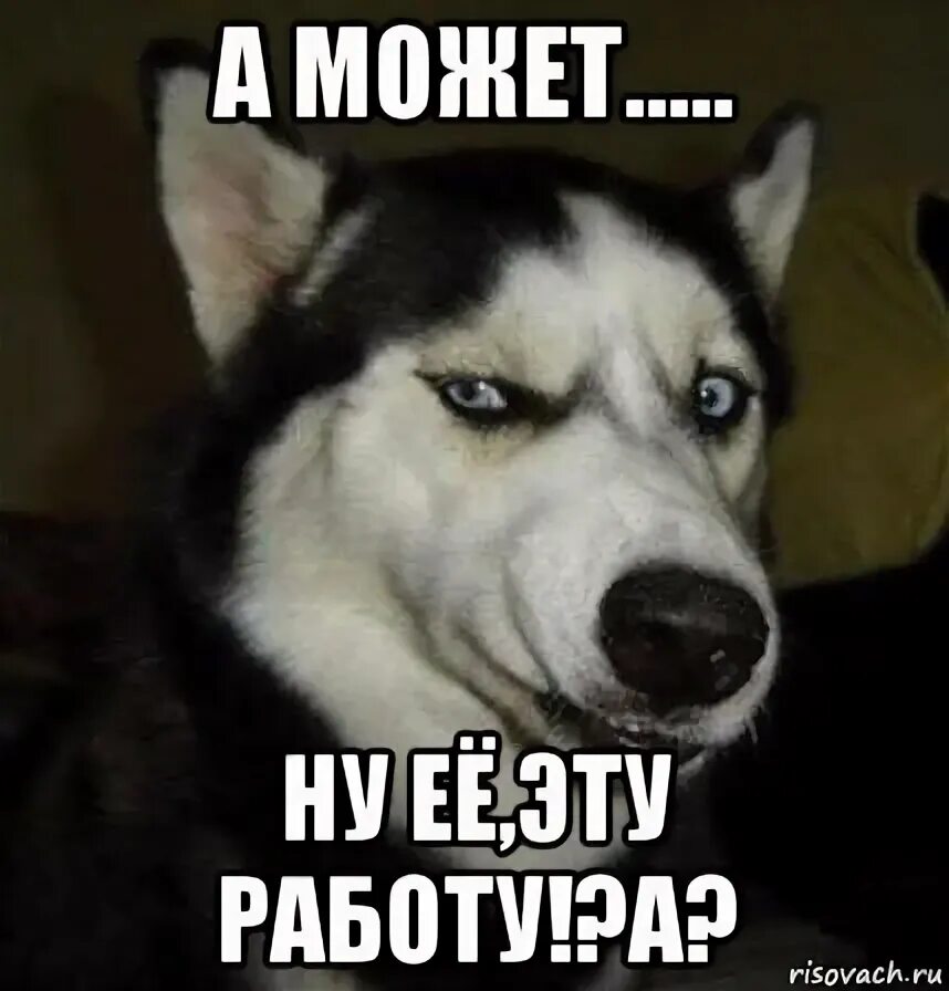 Ну она добрая. А может ну ее эту работу. Ну ее эту работу. Ну нафиг эту работу. Да ну эту работу.