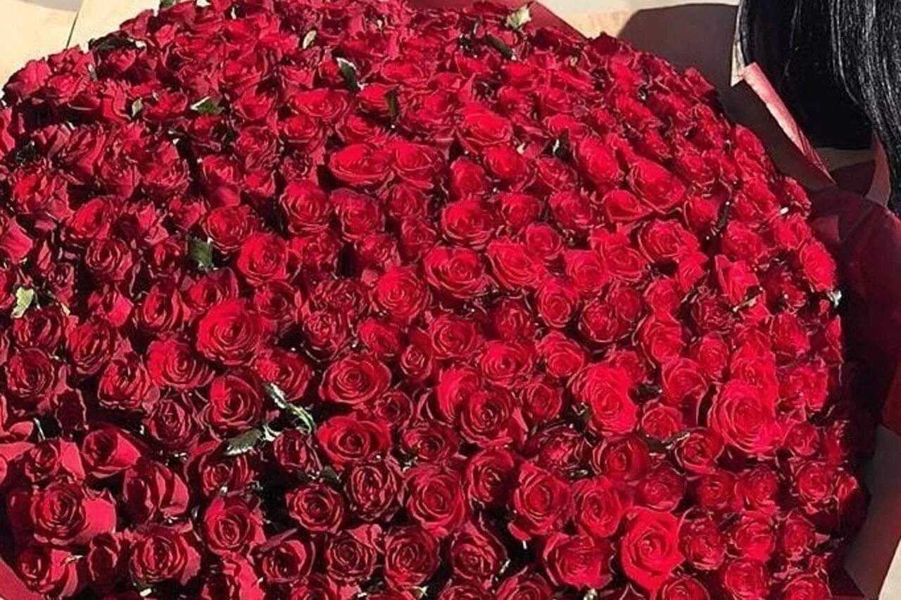 Сколько простоят розы. Огромный букет алых роз. Миллион роз букет. Цветы миллион роз.